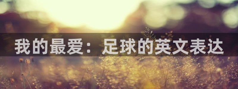 yy易游官方正版app娱乐首页网站大全:我的最爱:足球的英文
