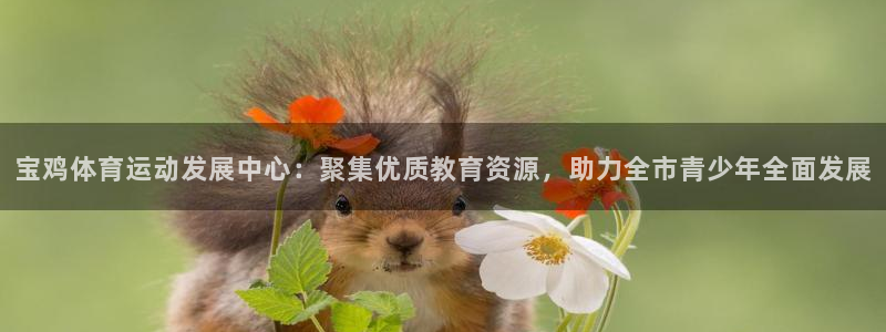 yy易游官方正版app娱乐下载:宝鸡体育运动发展中心:聚集优