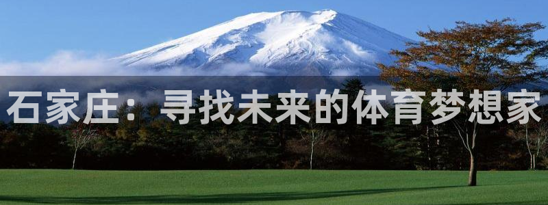 yy易游官网下载招商电话号码是多少:石家庄:寻找未来的体育梦